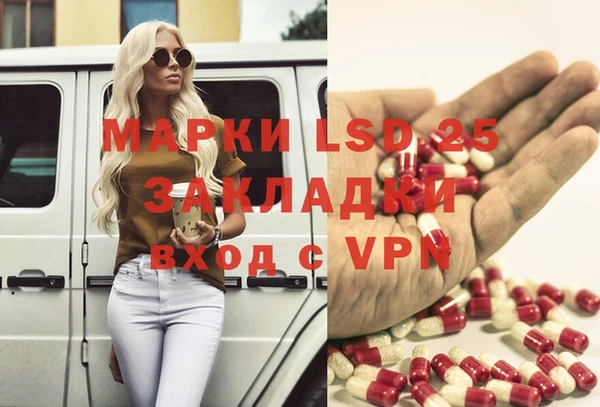СК Елабуга