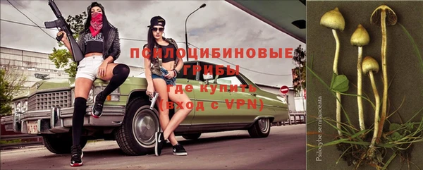 СК Елабуга