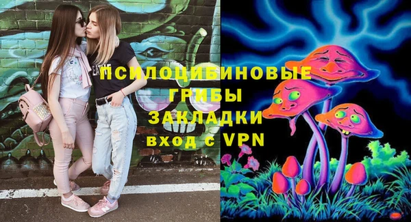 mdma Заводоуковск